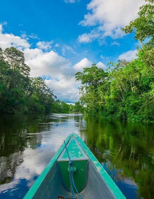Boat trip through the Amazon rainforest