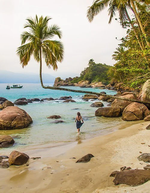 Beautiful beach with a leaning palm tree on Ilha Grande