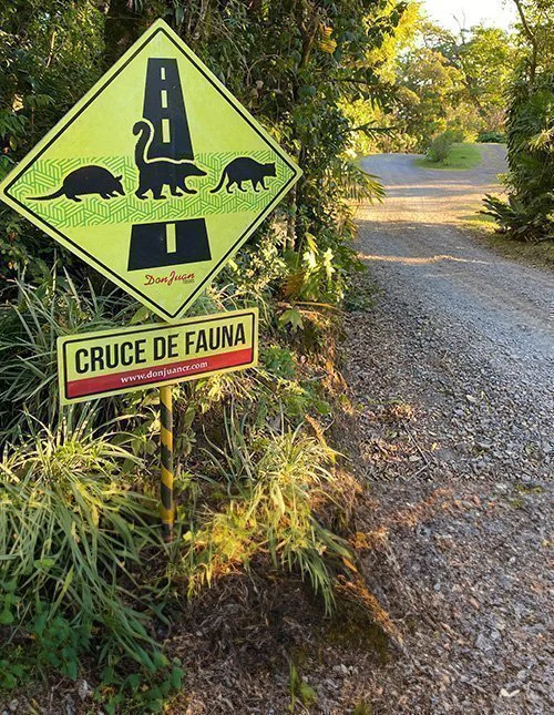 Warning sign for animal crossing on a gravel road in Costa Rica’s