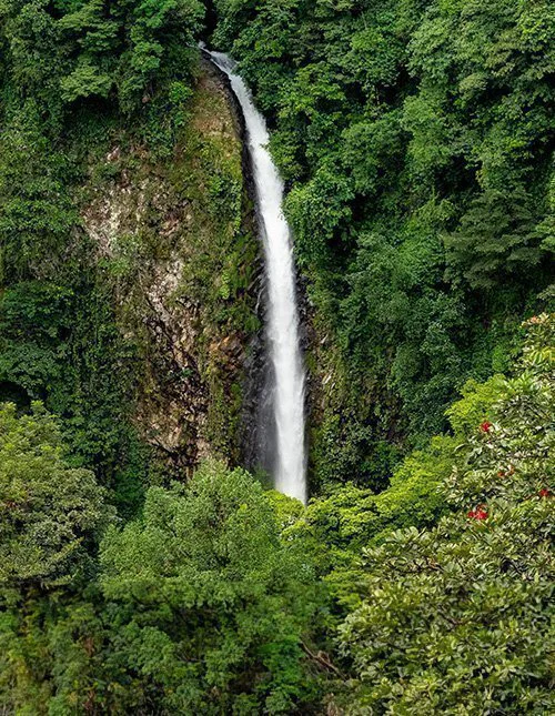 A towering waterfall plunges down through dense, lush rainforest in Costa Rica