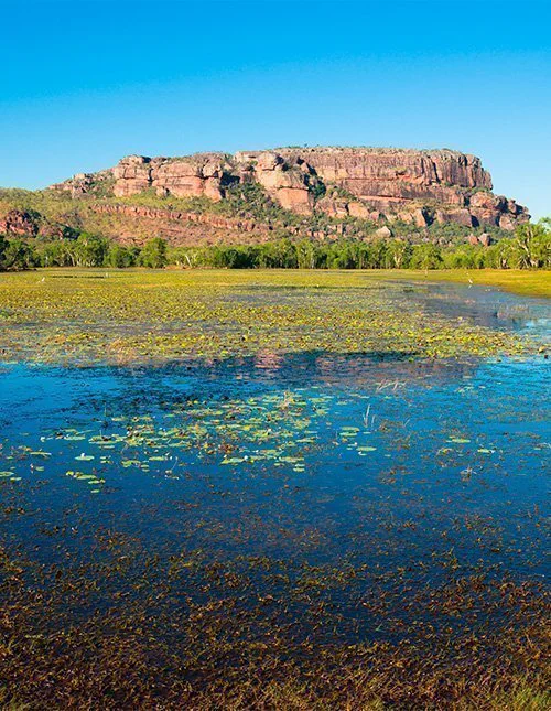 View of Nourlangie from Anbangbang Billabong, Kakadu National Park, Australia