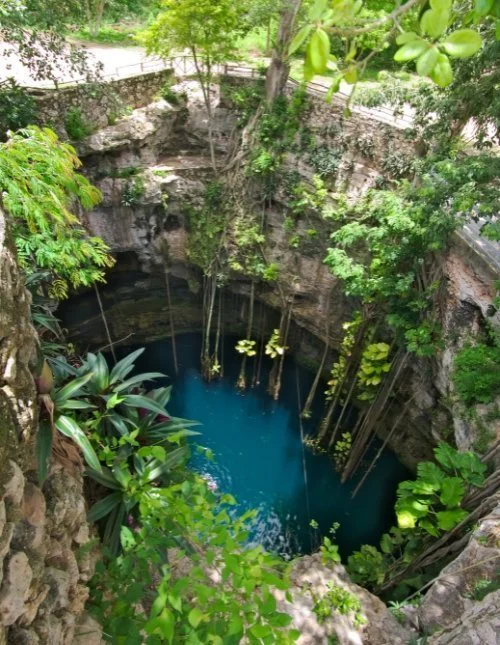The lush Cenote Oxman in Mexico