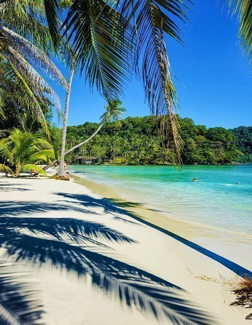 Lush palm trees sway gently over the soft sands of Koh Kood, Thailand